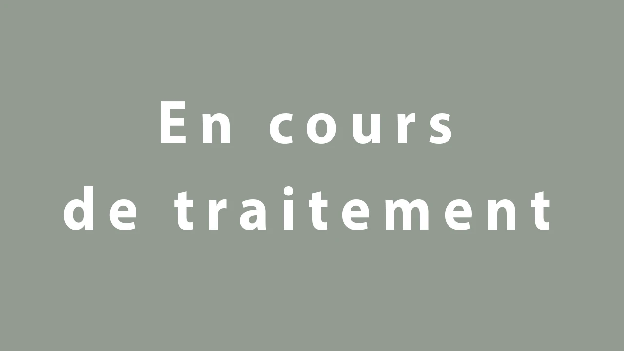 Lire la suite à propos de l’article En cours de traitement